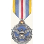 Anodized Defense Superior Service Medal