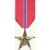 Anodized Bronze Star Medal