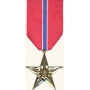 Anodized Bronze Star Medal