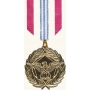 Anodized Defense Meritorious Service Medal