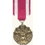 Anodized Large Meritorious Service Medal