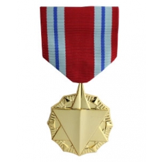 Anodized Combat Readiness Medal