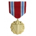 Anodized Combat Readiness Medal