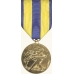 Anodized Navy Expeditionary Medal