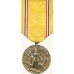 Anodized American Defense Service Medal