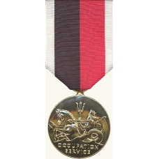 Anodized Navy Occupation Medal