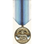 Anodized Coast Guard Arctic Service Medal