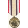 Anodized Iraq Campaign Medal