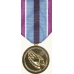 Anodized Humanitarian Service Medal