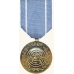 Anodized United Nations Medal
