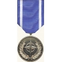 Anodized N.A.T.O. Medal