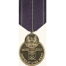 Anodized Navy Rifle Expert Medal