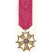 Anodized Mini Legion of Merit