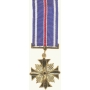 Anodized Mini Distinguished Flying Cross