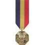 Anodized Mini Navy/Marine Corps Medal