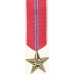 Anodized Mini Bronze Star Medal