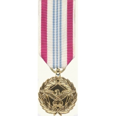 Anodized Mini Defense Meritorious Service Medal