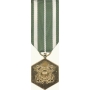 Anodized Mini Coast Guard Commendation Medal