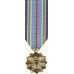 Anodized Mini Joint Service Achievement Medal