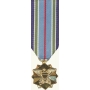 Anodized Mini Joint Service Achievement Medal