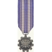 2nd Anodized Mini Space Force Achievement Medal