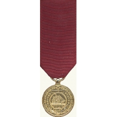 Anodized Mini Navy Good Conduct Medal