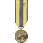 Anodized Mini Navy Expeditionary Medal