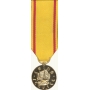 Anodized Mini China Service Medal