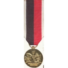 Anodized Mini Navy Occupation Medal