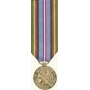 Anodized Mini Armed Forces Expedition Medal