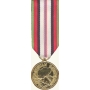 Anodized Mini Afghanistan Campaign Medal