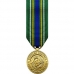 Anodized Mini Korean Defence Service Medal