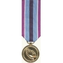 Anodized Mini Humanitarian Service Medal