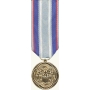 Anodized Mini Air and Space Campaign Medal