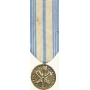 Anodized Mini Armed Forces Reserve Medal