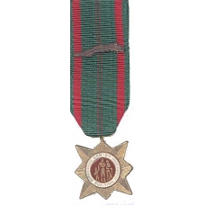 Anodized Mini Vietnam Civil Actions Medal