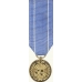 Anodized Mini United Nations Medal