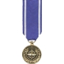 Anodized Mini N.A.T.O. Medal