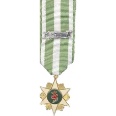 Anodized Mini Vietnam Campaign Medal