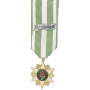 Anodized Mini Vietnam Campaign Medal