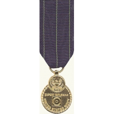 Anodized Mini Navy Rifle Expert Medal