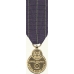 Anodized Mini Navy Rifle Expert Medal