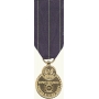Anodized Mini Navy Rifle Expert Medal