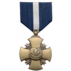 Large Navy Cross