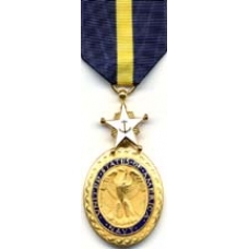Large Navy Distinguished Service Medal