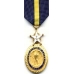 Large Navy Distinguished Service Medal