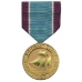 Large Coast Guard Distinguished Service Medal