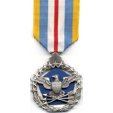 Large Defense Superior Service Medal
