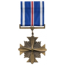Large Distinguished Flying Cross