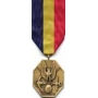 Large Navy/Marine Corps Medal